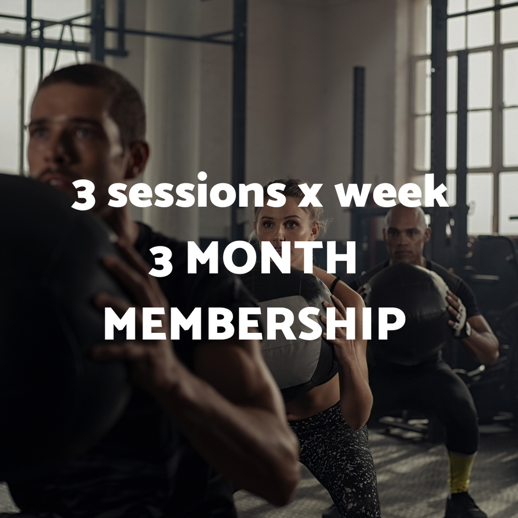 3 Session Per Week: 3 Month Membership