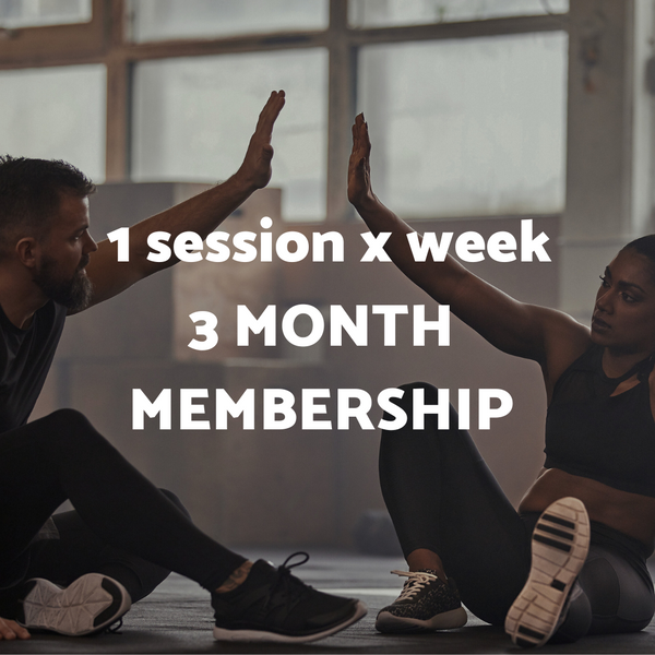 1 Session Per Week: 3 Month Membership